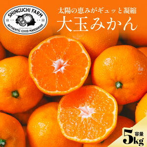 yʃTCYzܑڂIQ݂ 5kgyzyn108N Q݂̘V܁zy_ƒzV_ ƒp Q Fa l ݂ Q݂ B݂ ݂