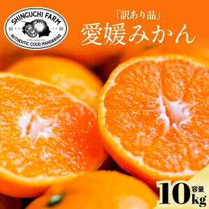 y󂠂肾ǔ̂܂܁z Q݂ 10kg yzyn108N Q݂̘V܁zy_ƒzV_ 󂠂 Q Fa l ݂ Q݂ B݂ 