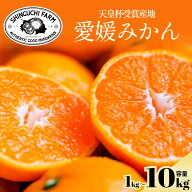 【天皇杯受賞産地】創業110年 愛媛みかん農家直送【送料無料】【お歳暮】愛媛 西宇和 家庭用 小玉みかん …