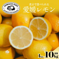 【創業110年 農家直送】愛媛レモン【ノーワックス・防腐剤不使用】【送料無料】皮まで安心 愛媛 八幡浜 …