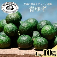 【創業110年 老舗農家が本気で作った】青ゆず 防腐剤 ワックス不使用 家庭用 訳あり 薬味 香り付け 自家…