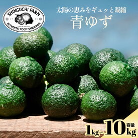 【創業110年 老舗農家が本気で作った】青ゆず 防腐剤 ワックス不使用 家庭用 訳あり 薬味 香り付け 自家製 柚子胡椒 柚子 ゆず 青柚子 摘みたて もぎたて 柑橘 旬 愛媛県産 西宇和 八幡浜 農家直送 産地直送 お試し 送料無料 新口農園