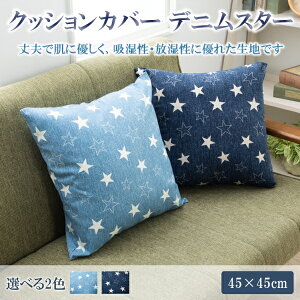 y100%zNbVJo[ 傫 NbVJo[  NbVJo[ ֎q NbVJo[ zc NbVJo[ 45×45cm fj  BL NbVJo[ t 􂦂