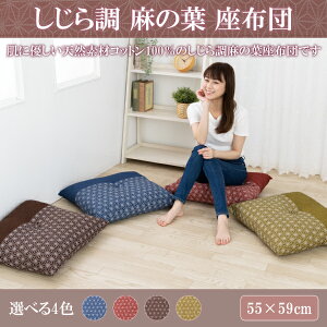 zc NbV ԂƂ i ɑ΍ lzc ֎qp {  100 Rbg 璲 ̗t 55×59cm