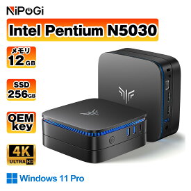 ★最大10%OFF★NiPoGi ミニpc Intel N5030 最大3.1Hz mini pc Windows11 Pro 12GB+256GB SSD (4TB拡大可能) 4K 静音 小型超軽量ミニパソコン豊富なインターフェース USB3.2/HDMI 2.0×2 高速2.4G/5GWi-Fi 省電力 小型パソコン