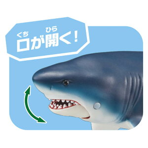 ���i�摜