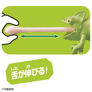 ���i�摜