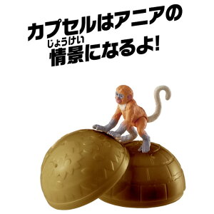 ���i�摜