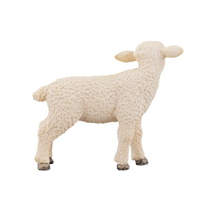 �t�B�M���A MOJO ANIMALPLANET �A�j�}���v���l�b�g �e�q�c�W 387098