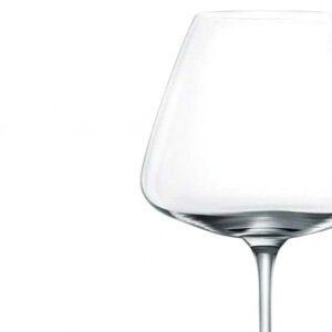������select �i6���j �J�b�v �O���X �u���S�[�j���i�G���K���g�j ��62×H220mm 590ml �H��@�Ή� �^�C��