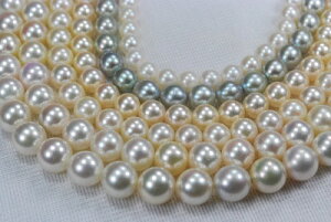 tH[}@AR@^@6-9mm lbNX@CgsN@zCg@6mm@7mm@7D5mm@8mm@9mm@8D5mm@Vׁ@7{ׁ@ޗ@ rdJ[@փAWX^[