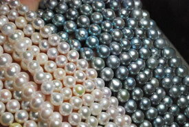 新ロット入荷　アコヤ　真珠　4　−　9　mm　ネックレス　ホワイト　ピンク　ブラック　ゴールド 選択可　材料も可