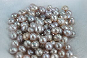 W@^@@6mm@@CX@@[X@ЍEyA@ޗ@@@ @532P15May16@@ |Cg5{