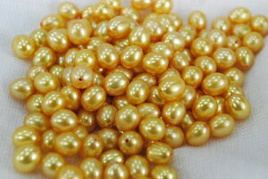 W@^@@6mm@6D5mm@CX@@[X@ЍEyA@ޗ