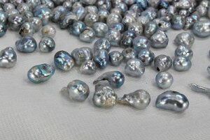 @^@8mm@Abv obN@@i`J[@u[@SobN@ޗ@_@@ @532P15May16@@ |Cg5{