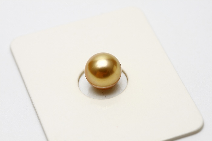 楽天市場】アコヤ真珠パールルース 7.0-7.5mm ゴールドカラー : 真珠倶楽部