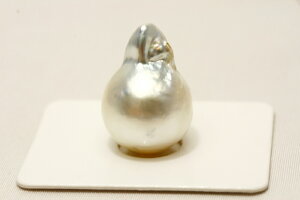 m^p[[X@20×14mm@zCgJ[