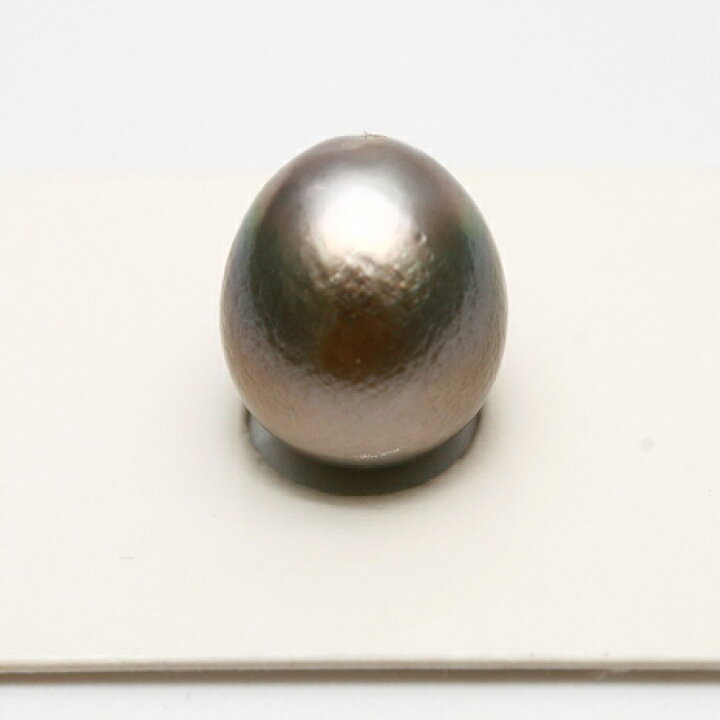 楽天市場】タヒチ黒蝶真珠パールルース 片穴 14×12mm グレーカラー 