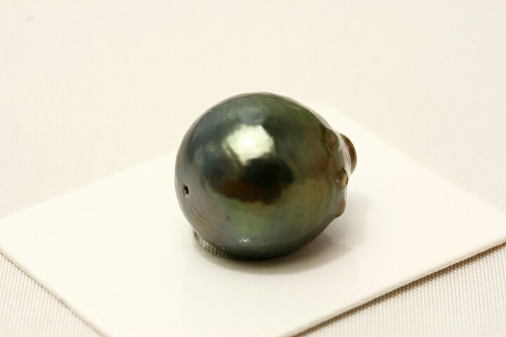 楽天市場】タヒチ黒蝶真珠パールルース 両穴 17×14mm ブラックカラー 