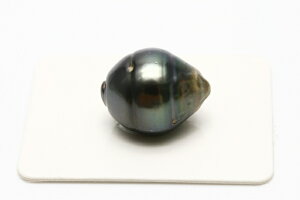 ^q`^p[[X@@17×13mm@ubNJ[