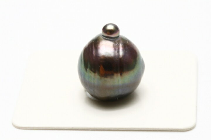 楽天市場】タヒチ黒蝶真珠パールルース 両穴 17×14mm ブラックカラー 