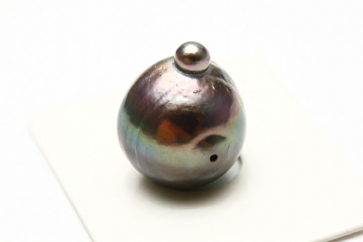 楽天市場】タヒチ黒蝶真珠パールルース 両穴 17×14mm ブラックカラー 