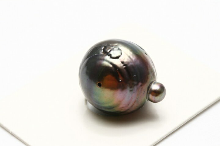 楽天市場】タヒチ黒蝶真珠パールルース 両穴 17×14mm ブラックカラー 