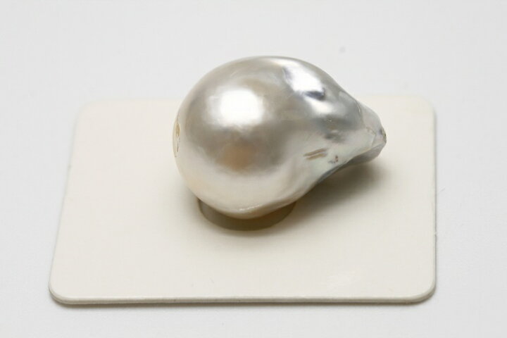 楽天市場】南洋白蝶真珠パールルース 両穴 21×15mm ホワイトカラー 