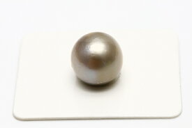 タヒチ黒蝶真珠パールルース　両穴　12mm　グレーカラー