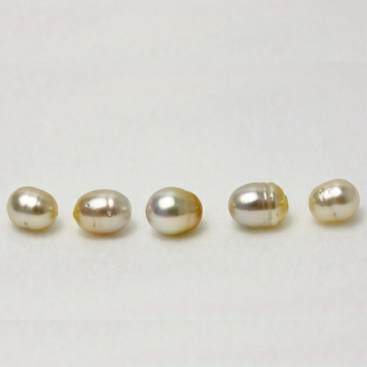 楽天市場】南洋白蝶真珠パールルース 両穴 5ピース 10-9mm ナチュラル 