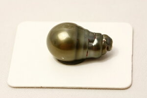 ^q`^p[[X@@21×12mm@ubNO[J[