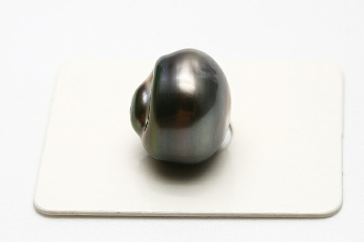 楽天市場】タヒチ黒蝶真珠パールルース ケシ 両穴 15mm ブラックカラー 