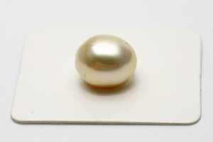 m^p[[X@@12×11mm@N[J[