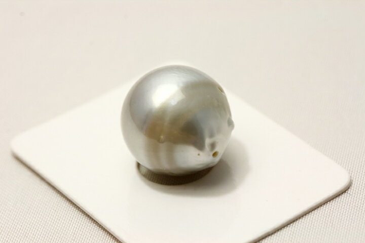 楽天市場】タヒチ黒蝶真珠パールルース 両穴 15×14mm グレーカラー 