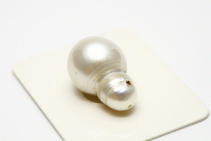 楽天市場】南洋白蝶真珠パールルース 両穴 19×12mm ホワイトカラー 