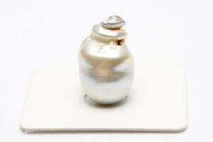 m^p[[X@21×13mm@Vo[O[J[