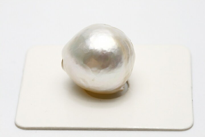 楽天市場】南洋白蝶真珠パールルース 両穴 16×15mm ホワイトカラー 