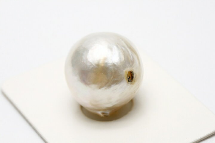 楽天市場】南洋白蝶真珠パールルース 両穴 16×15mm ホワイトカラー 