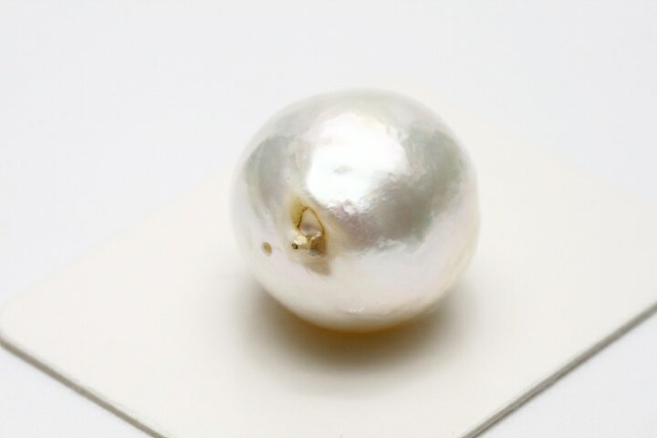 楽天市場】南洋白蝶真珠パールルース 両穴 16×15mm ホワイトカラー 