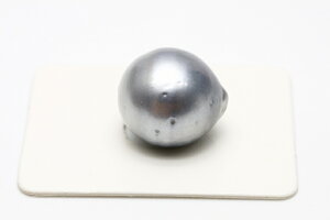 �^�q�`�����^��p�[�����[�X�@�����@15×14mm�@�O���[�J���[