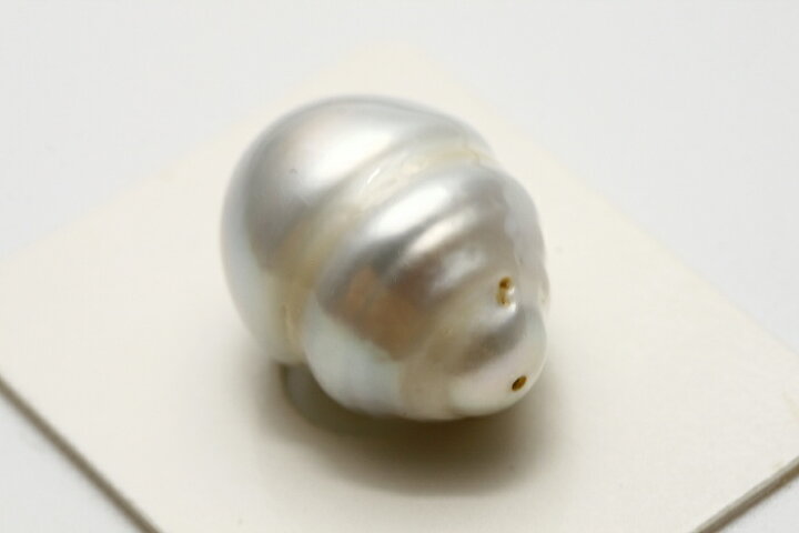 楽天市場】南洋白蝶真珠パールルース 両穴 19×14mm ホワイトカラー 