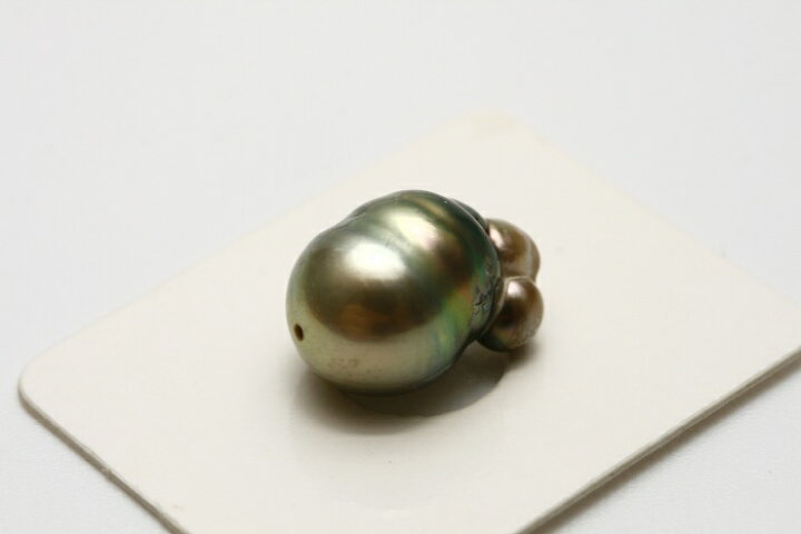 楽天市場】タヒチ黒蝶真珠パールルース 両穴 16×10mm グリーンカラー 