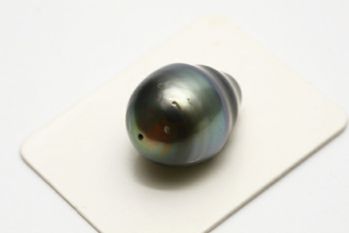 楽天市場】タヒチ黒蝶真珠パールルース 両穴 19×14mm グリーングレー 