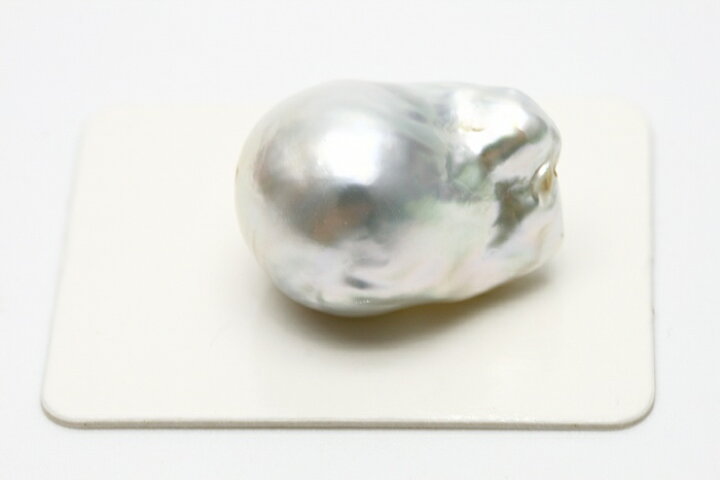 楽天市場】南洋白蝶真珠パールルース 両穴 21×15mm ホワイトカラー 