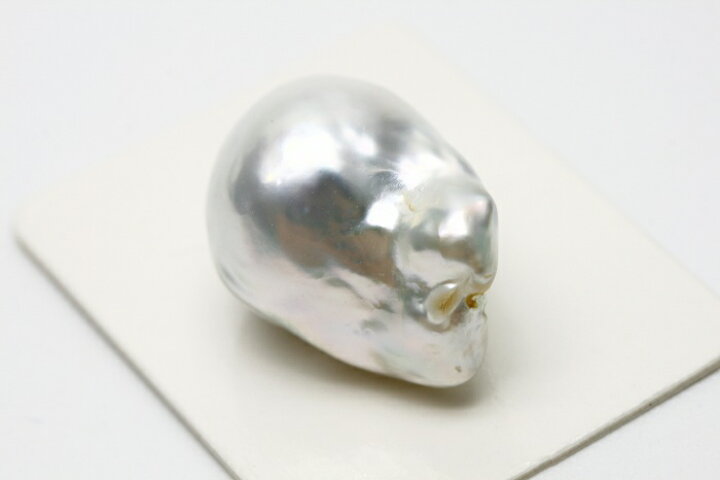 楽天市場】南洋白蝶真珠パールルース 両穴 21×15mm ホワイトカラー 