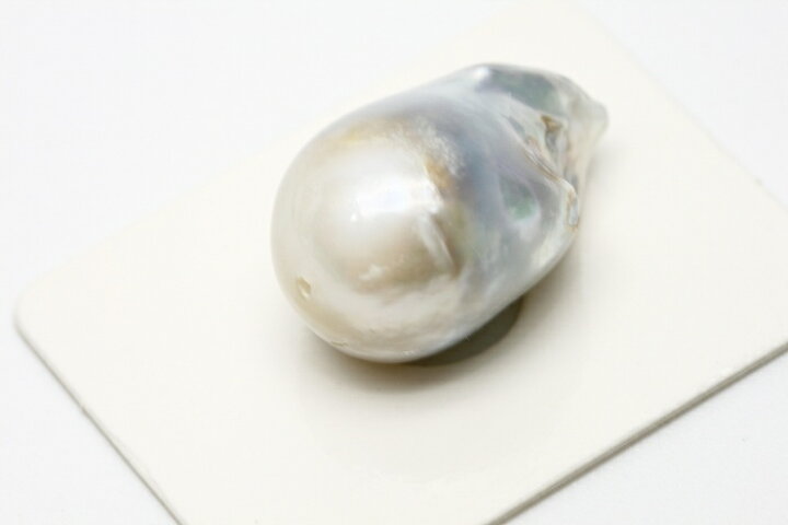 楽天市場】南洋白蝶真珠パールルース 両穴 22×14mm ホワイトカラー 