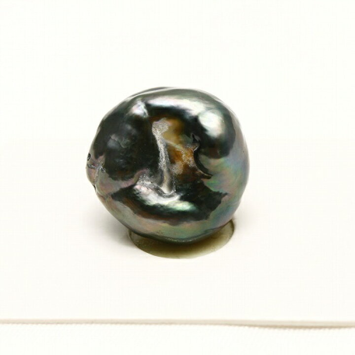 楽天市場】タヒチ黒蝶真珠パールルース ケシ 両穴 15mm ブラックカラー 