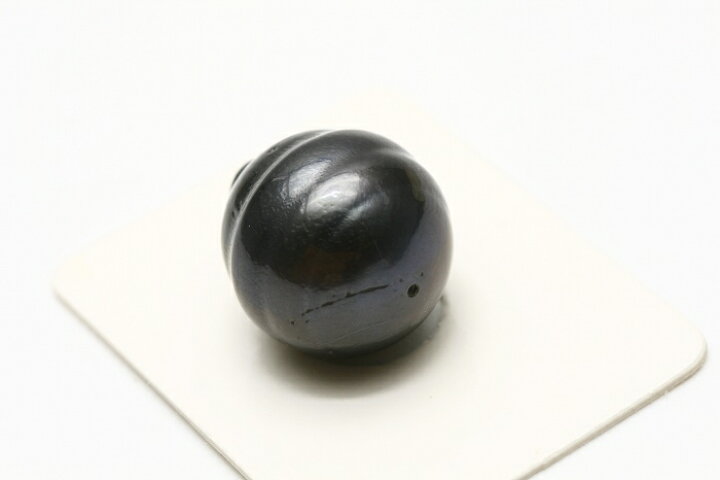 楽天市場】タヒチ黒蝶真珠パールルース 両穴 17×15mm ブラックカラー 