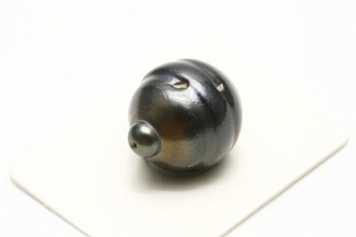 楽天市場】タヒチ黒蝶真珠パールルース 両穴 17×15mm ブラックカラー 