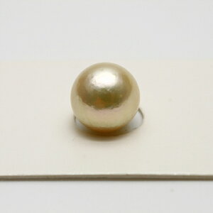 AR^p[[X@10.0-10.5mm@F@sNO[J[